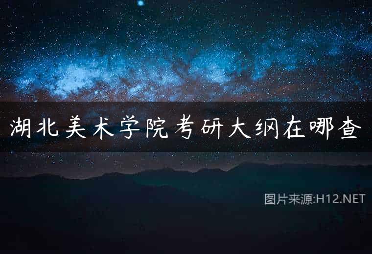 湖北美术学院考研大纲在哪查
