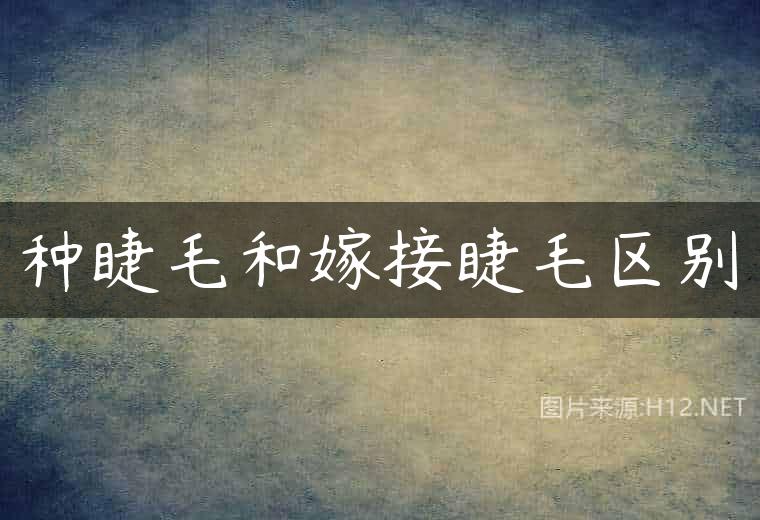 种睫毛和嫁接睫毛区别