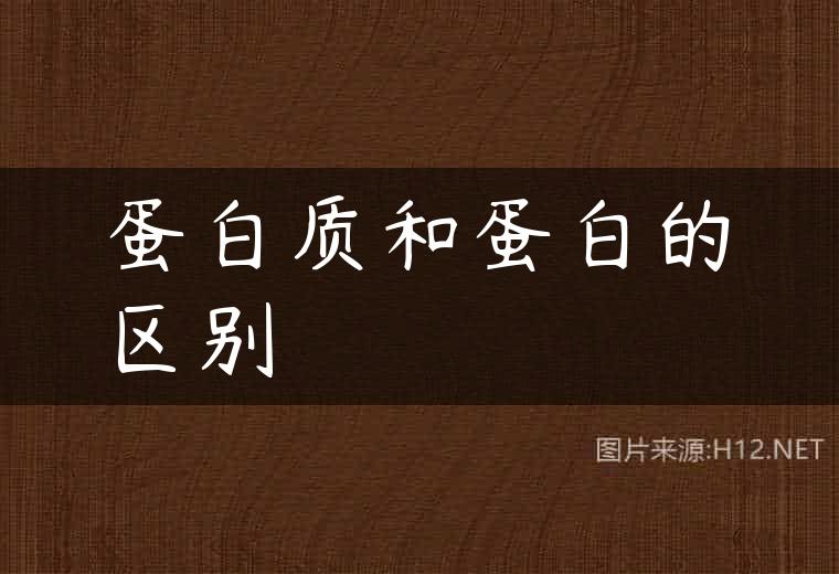 蛋白质和蛋白的区别