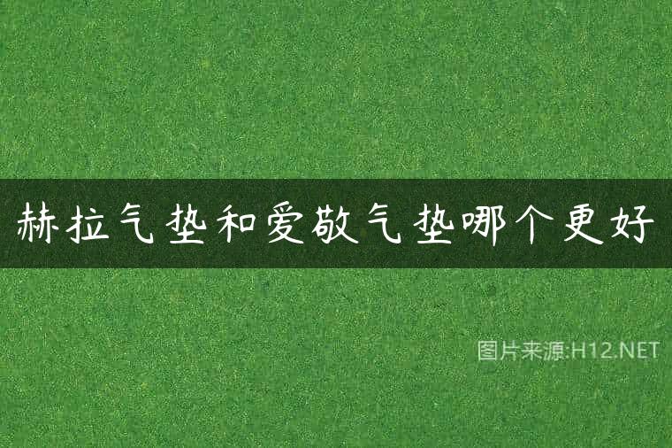 赫拉气垫和爱敬气垫哪个更好