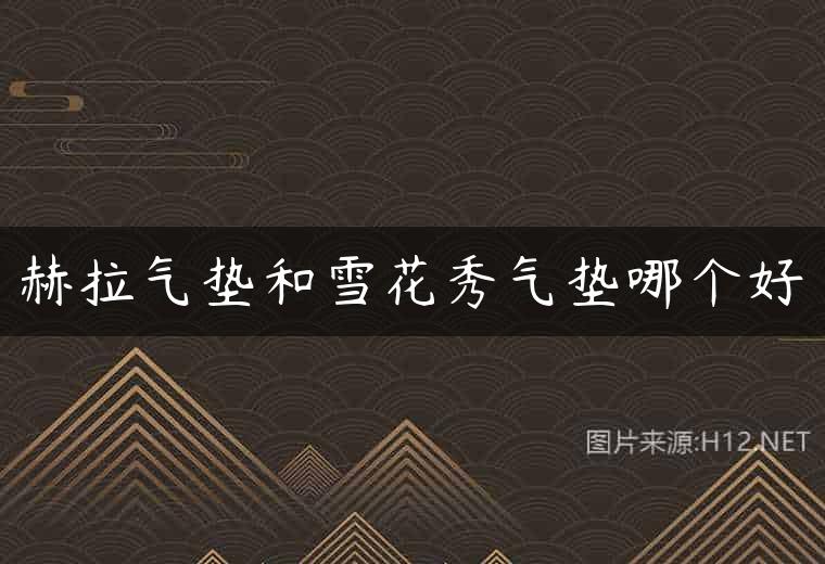 赫拉气垫和雪花秀气垫哪个好