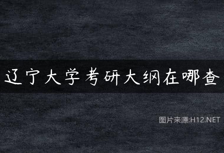 辽宁大学考研大纲在哪查