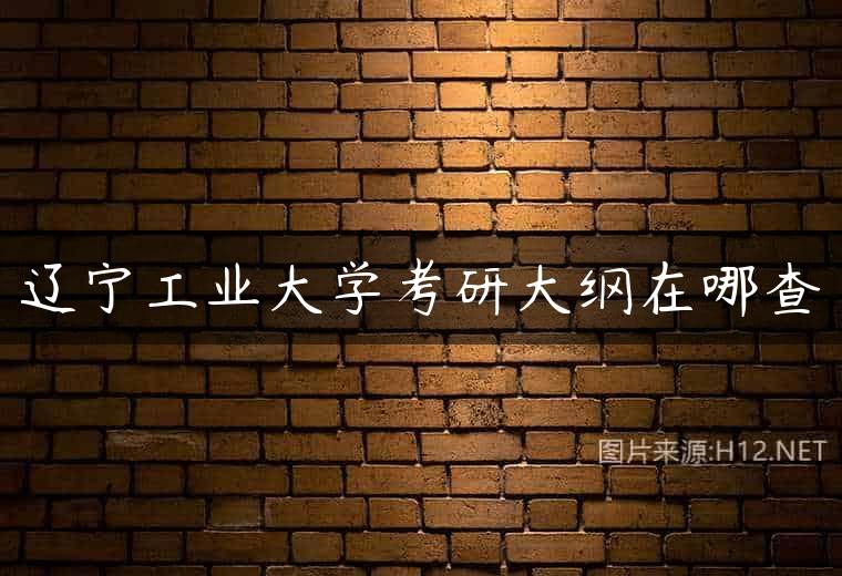辽宁工业大学考研大纲在哪查