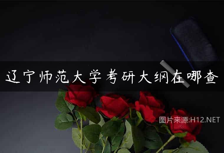 辽宁师范大学考研大纲在哪查