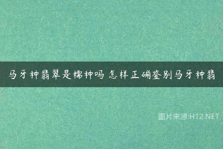 马牙种翡翠是糯种吗 怎样正确鉴别马牙种翡