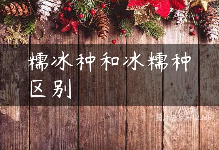 糯冰种和冰糯种区别