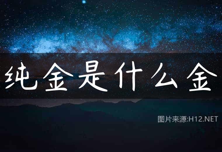 纯金是什么金