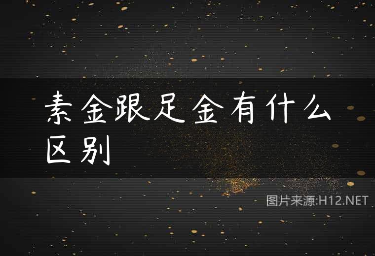 素金跟足金有什么区别