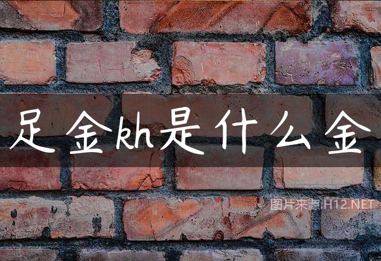 足金kh是什么金