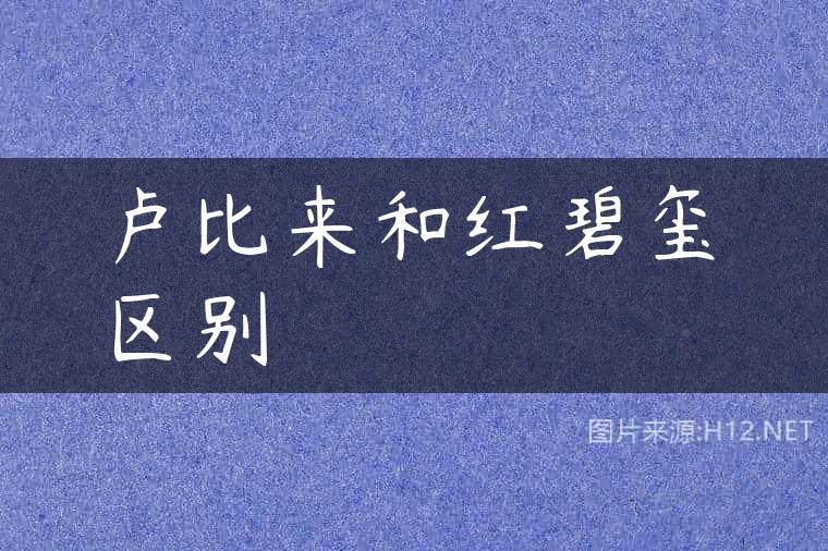 卢比来和红碧玺区别