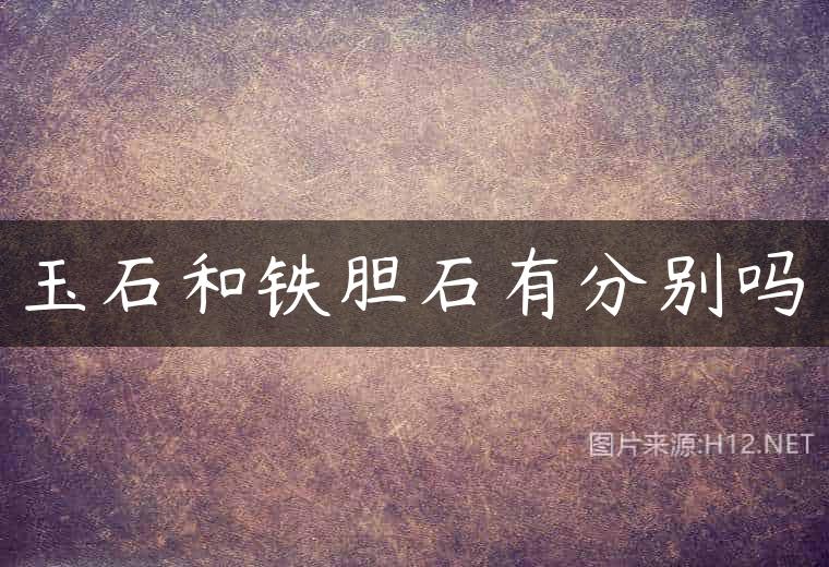 玉石和铁胆石有分别吗