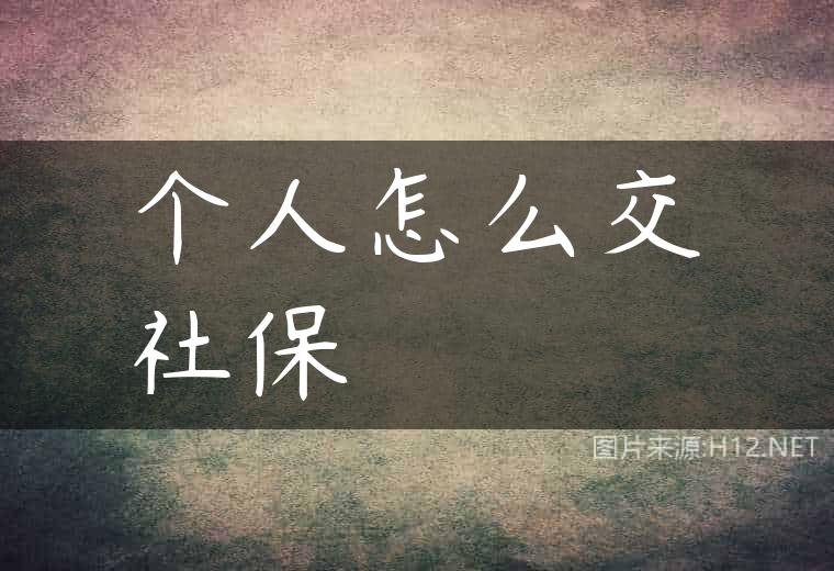 个人怎么交社保