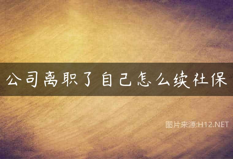 公司离职了自己怎么续社保