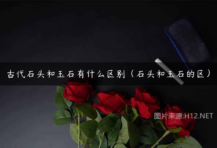 古代石头和玉石有什么区别（石头和玉石的区）