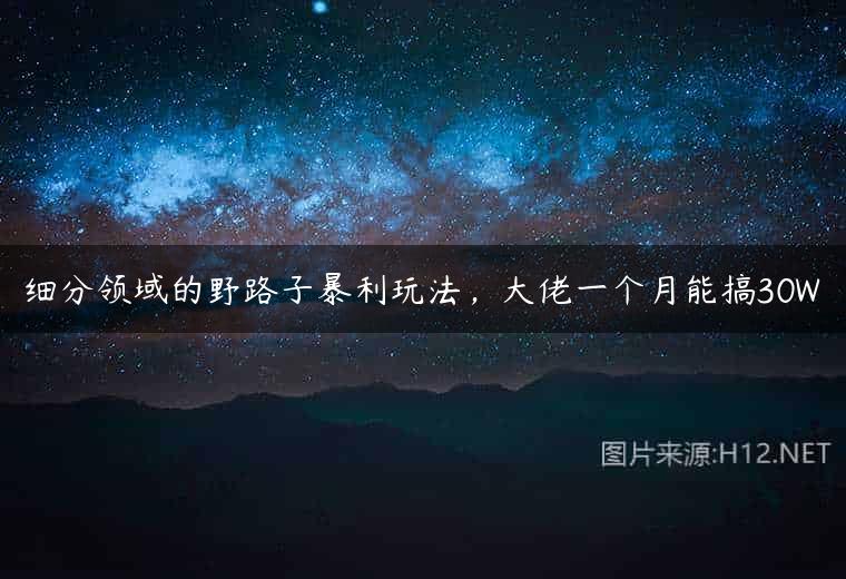 细分领域的野路子暴利玩法，大佬一个月能搞30W