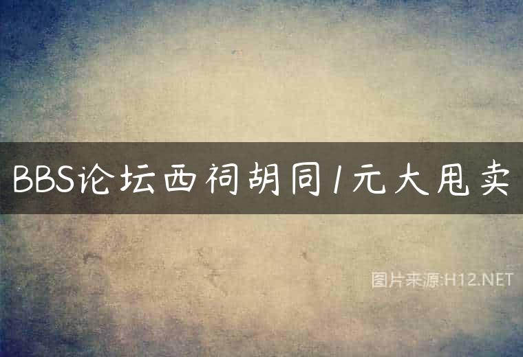 BBS论坛西祠胡同1元大甩卖