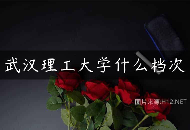 武汉理工大学什么档次