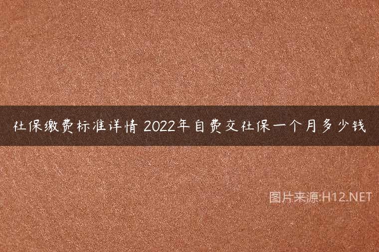 社保缴费标准详情 2022年自费交社保一个月多少钱