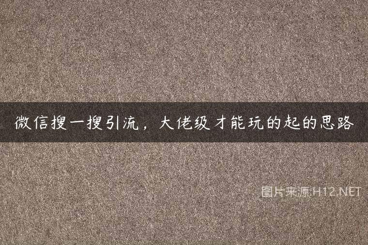微信搜一搜引流，大佬级才能玩的起的思路