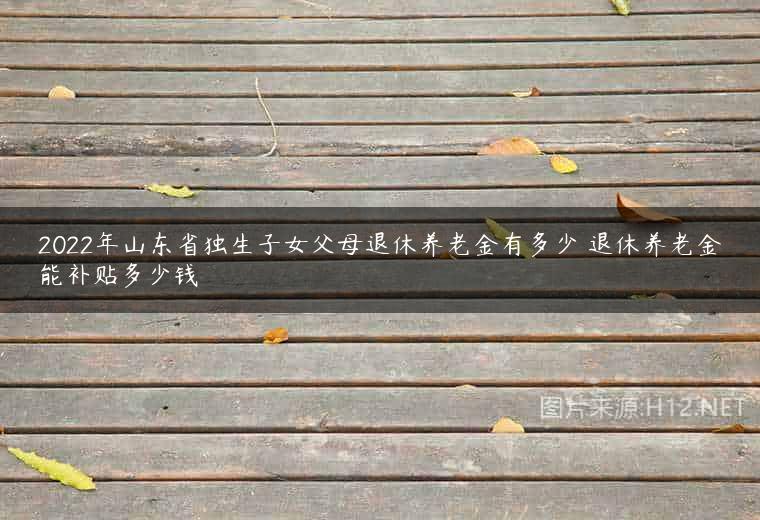 2022年山东省独生子女父母退休养老金有多少 退休养老金能补贴多少钱