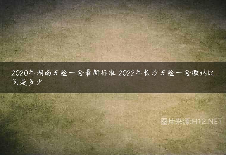 2020年湖南五险一金最新标准 2022年长沙五险一金缴纳比例是多少
