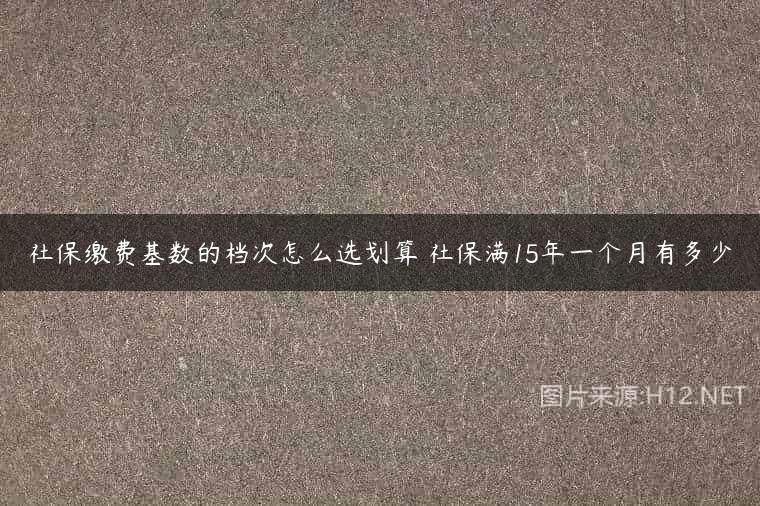 社保缴费基数的档次怎么选划算 社保满15年一个月有多少