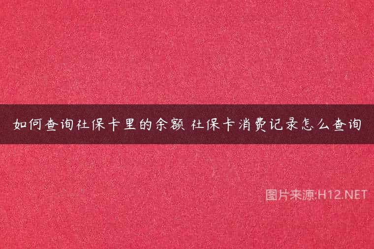 如何查询社保卡里的余额 社保卡消费记录怎么查询