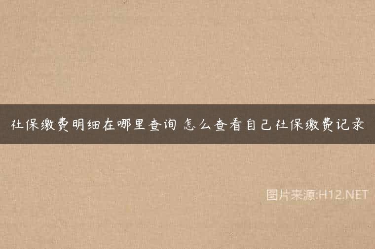 社保缴费明细在哪里查询 怎么查看自己社保缴费记录
