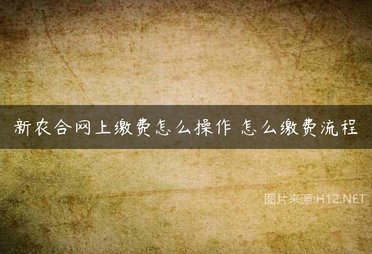 新农合网上缴费怎么操作 怎么缴费流程