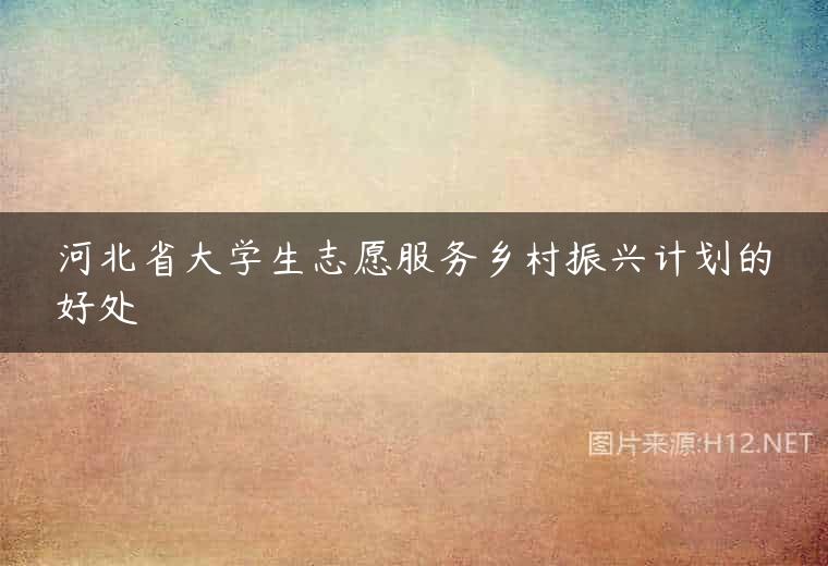 河北省大学生志愿服务乡村振兴计划的好处