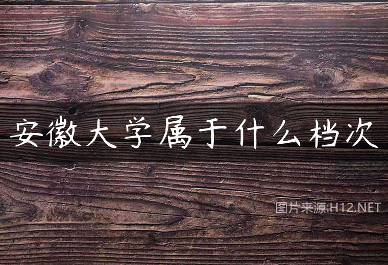 安徽大学属于什么档次