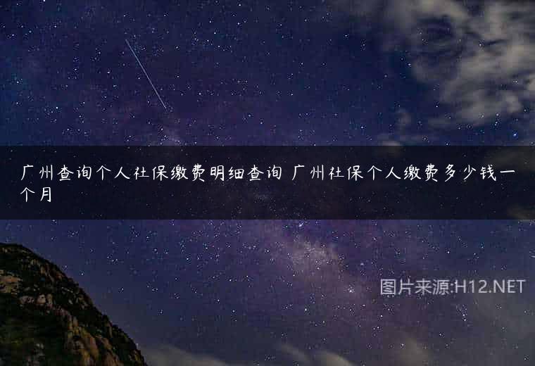 广州查询个人社保缴费明细查询 广州社保个人缴费多少钱一个月