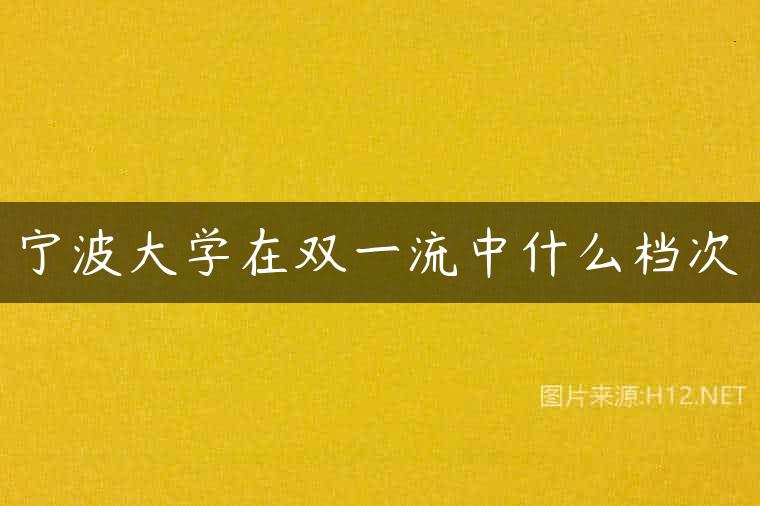 宁波大学在双一流中什么档次