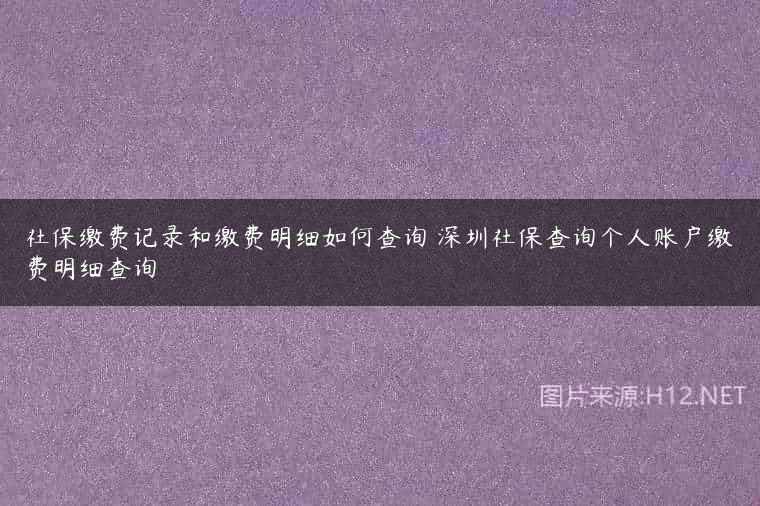 社保缴费记录和缴费明细如何查询 深圳社保查询个人账户缴费明细查询