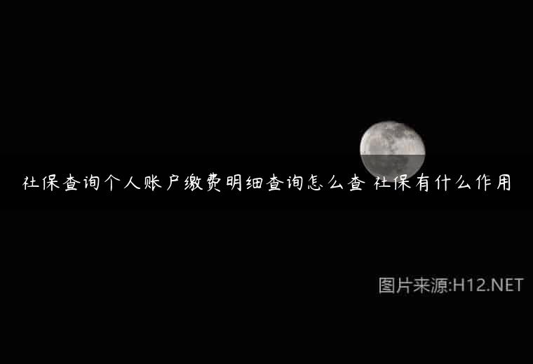 社保查询个人账户缴费明细查询怎么查 社保有什么作用