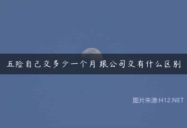 五险自己交多少一个月 跟公司交有什么区别