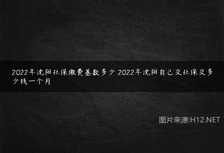 2022年沈阳社保缴费基数多少 2022年沈阳自己交社保交多少钱一个月