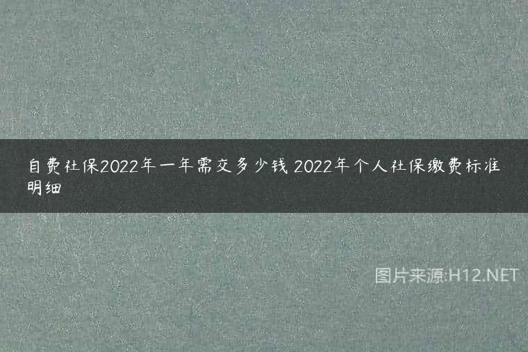 自费社保2022年一年需交多少钱 2022年个人社保缴费标准明细