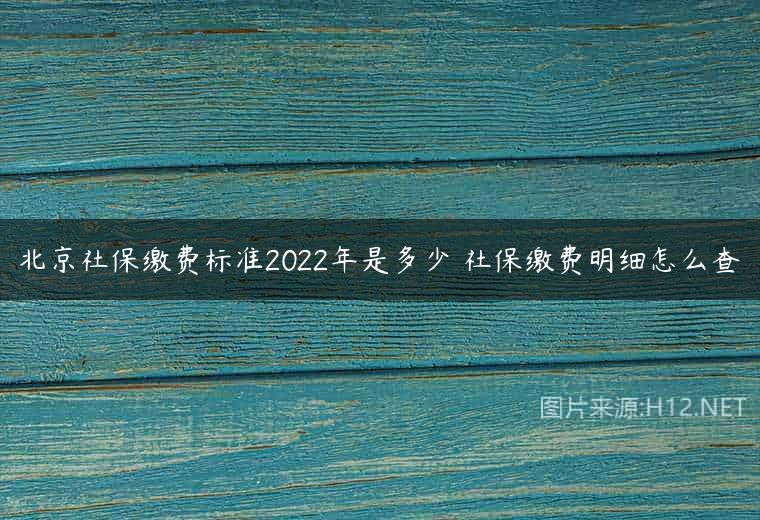 北京社保缴费标准2022年是多少 社保缴费明细怎么查