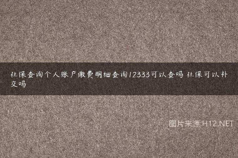 社保查询个人账户缴费明细查询12333可以查吗 社保可以补交吗