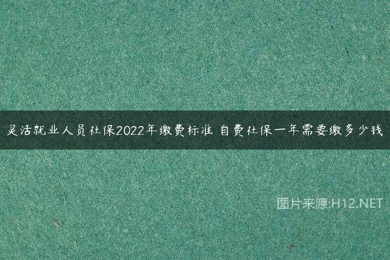 灵活就业人员社保2022年缴费标准 自费社保一年需要缴多少钱
