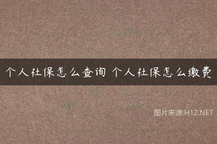个人社保怎么查询 个人社保怎么缴费