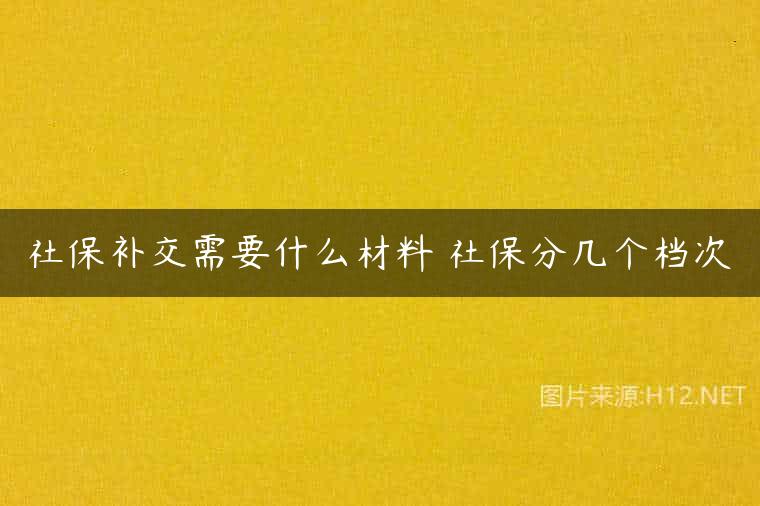 社保补交需要什么材料 社保分几个档次