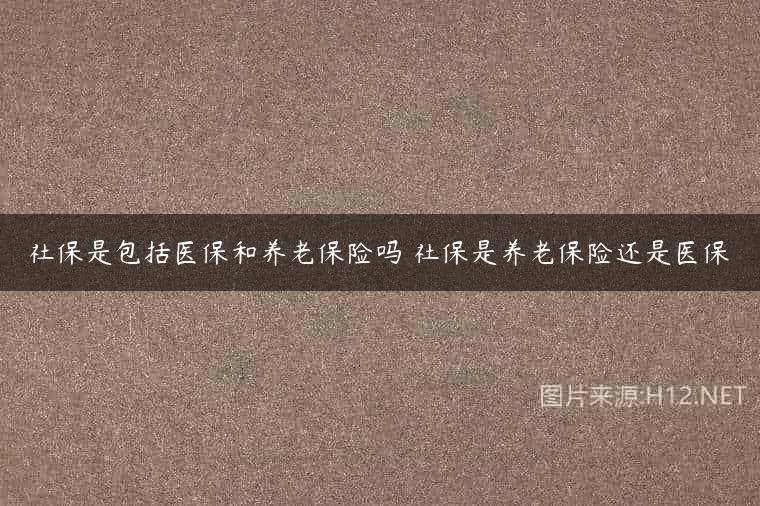 社保是包括医保和养老保险吗 社保是养老保险还是医保