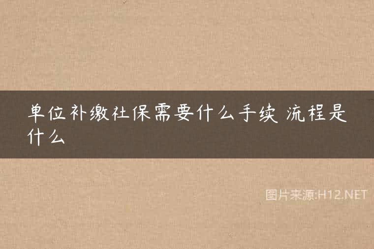 单位补缴社保需要什么手续 流程是什么