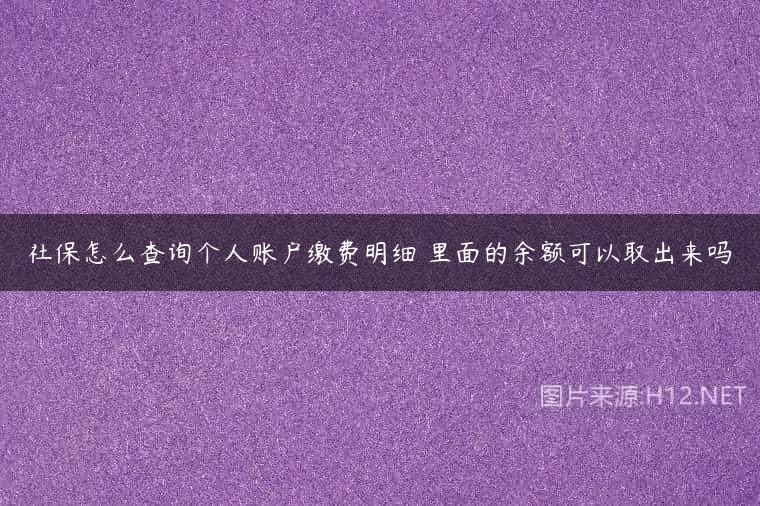 社保怎么查询个人账户缴费明细 里面的余额可以取出来吗