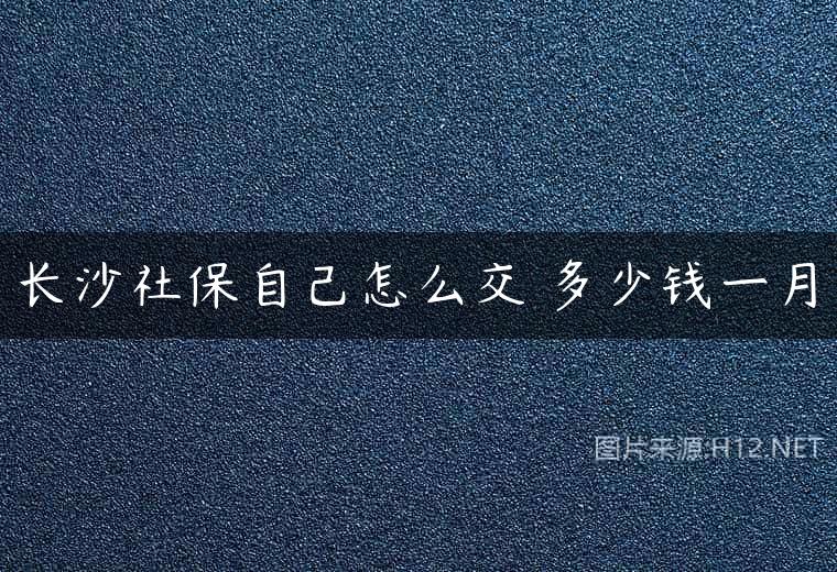 长沙社保自己怎么交 多少钱一月