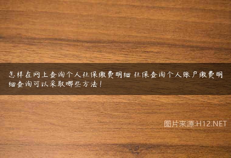 怎样在网上查询个人社保缴费明细 社保查询个人账户缴费明细查询可以采取哪些方法！