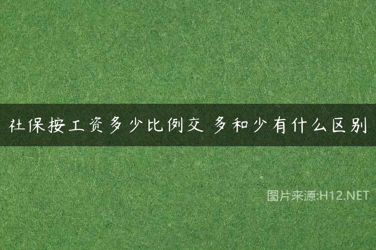 社保按工资多少比例交 多和少有什么区别