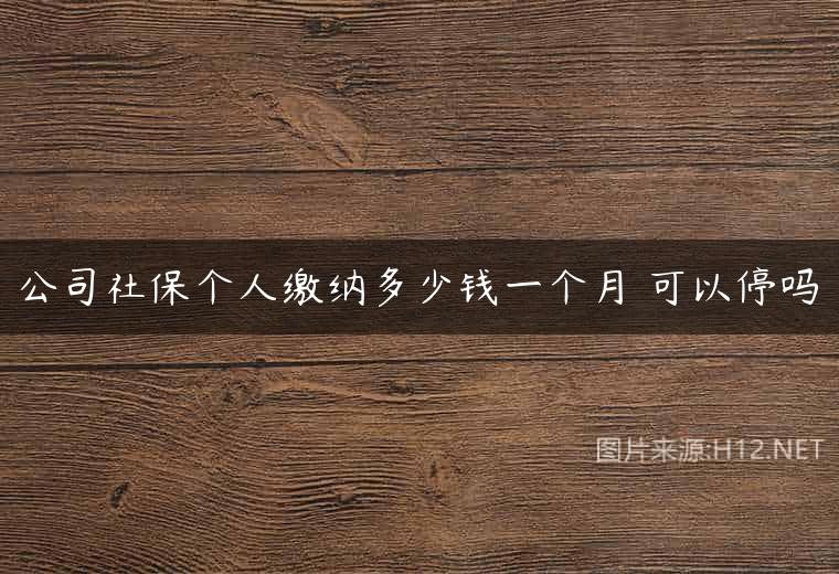 公司社保个人缴纳多少钱一个月 可以停吗